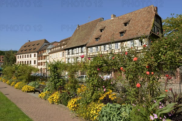 Old town, half-timbered houses, Wissembourg, Alsace, Weissenburg, France, Europe