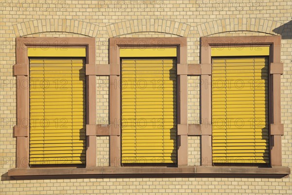 Three yellow closed windows at the Robert Koch School, house wall, facade, yellow, monochrome,