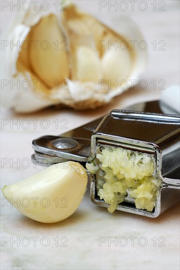 Garlic (Allium sativum) crush and t oe