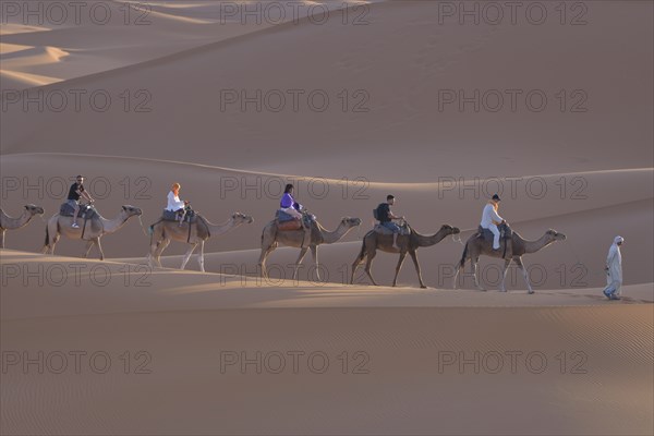 Tourists riding camels in the dunes, Sahara, Merzouga, Meknès-Tafilalet region, Morocco, Africa
