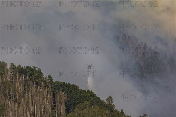 Forest fire