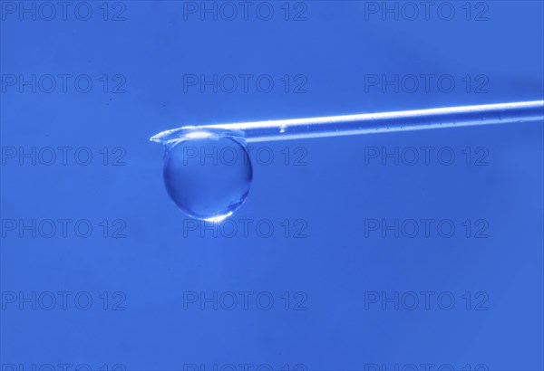 Macro image Covid vaccine, a drop of Moderna vaccine hangs on a vaccine needle