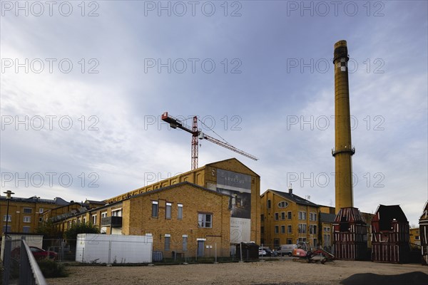 Briquette factory Witznitz