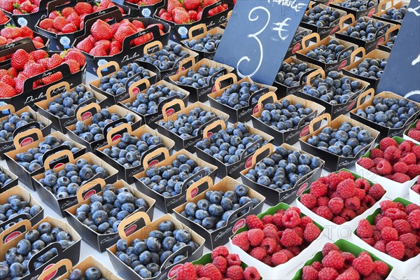 Fresh fruit and vegetables, market on the Cours Saleya, city centre, Nice, Département