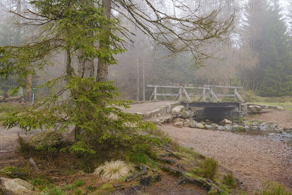 Bridge at the Oderteich, Nebel, Harz National Park, Lower Saxony, Germany, Europe