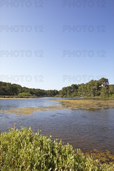 S'Albufera des Grau nature Park, Menorca