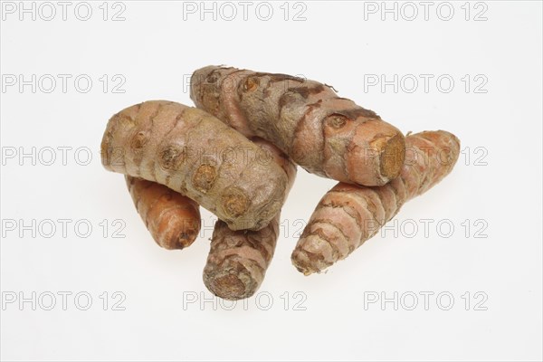 Turmeric (Curcuma longa) or curcume, yellow ginger, saffron root, turmeric, plant species of the