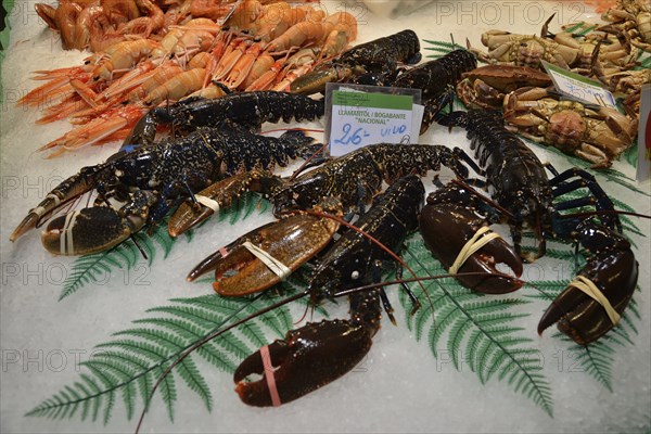 European lobsters at a fish stall in the market hall, Mercat de la Boquería, also Mercat de Sant