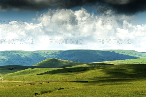 Cezallier plateau in the Auvergne volcanoes regional natural park, Puy de Dome department,