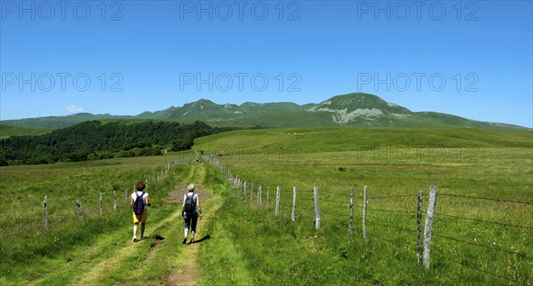 Hikers in Sancy massif, Auvergne Volcanoes Natural Park, Puy de Dome department, Auvergne Rhone
