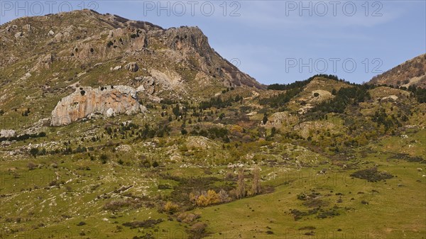 Mountain, green hillsides, trees, green meadows, Madonie National Park, spring, Sicily, Italy,