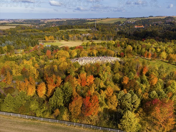 The Forest Botanical Garden Tharandt is an institution of the Technical University of Dresden and