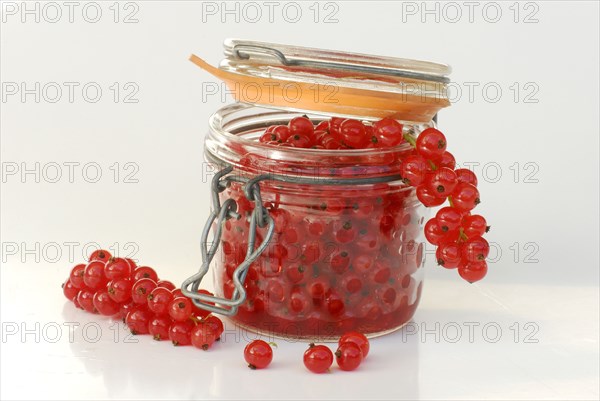 Redcurrants (Ribes rubrum) in a jar