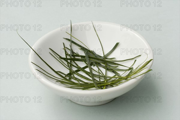 Kaffir lime, leaf strips, Kaffir lime (Citrus hystrix)
