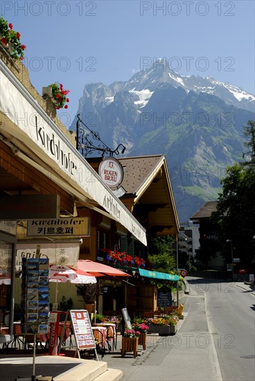 Wetterhorn, Alps, 3692 m, Grindelwald, Bernese Oberland, Switzerland, Europe