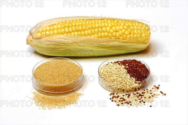 Cornpistons (Zea mays) Amaranth (Amaranthus) and quinoa , Quinoa (Chenopodium quinoa) Inca grain,