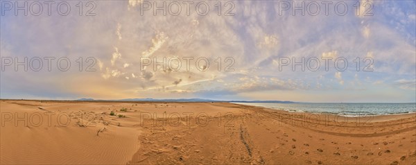 Beach "Platja del Fangar", sand dunes, Vegetation, nature reserve, ebro delta, Catalonia, Spain,
