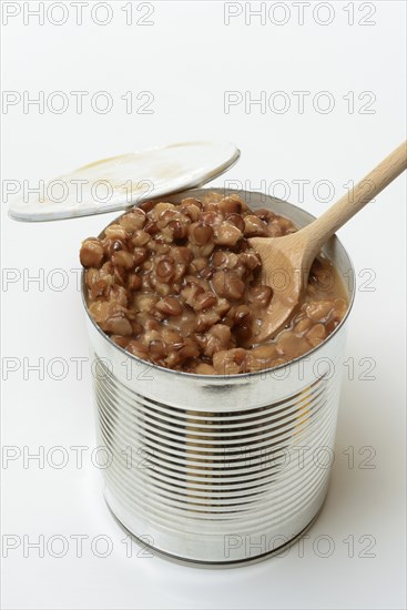Lentil (Lens culinaris) dish in tin, lentil