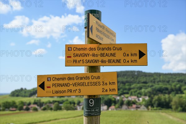 Signpost on the Route des Grands-Crus, Route of Fine Wines, near Savigny-lès-Beaune, Département