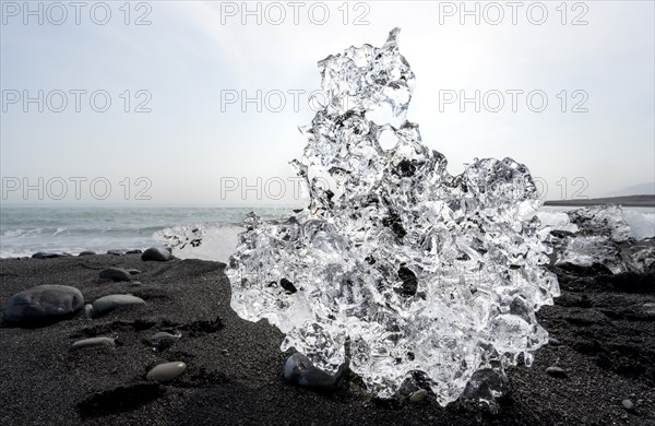 Ice, piece of ice on black sand beach, on black lava beach Diamond Beach, Southeast Iceland,