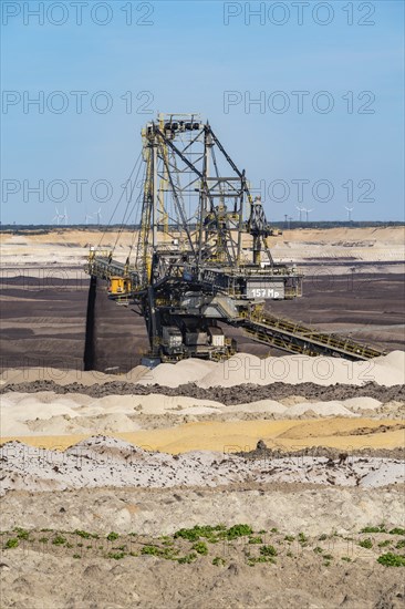 Weaners in the Welzow-Süd opencast lignite mine, Niederlausitz, Spree-Neiße, Brandenburg, Germany,