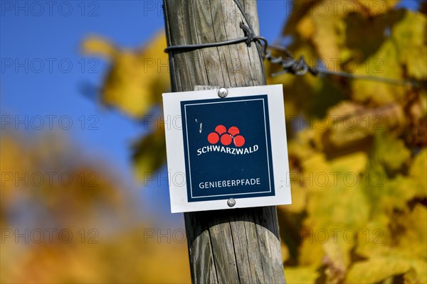 Sign Genießerpfade Black Forest, in the background vines, near Durbach, Ortenaukreis, Black Forest,