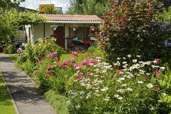 Blooming flowers in front of garden arbour in allotment garden, allotment garden, Dortmund, North