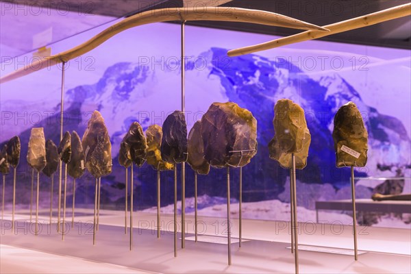 State Museum for Archaeology Chemnitz