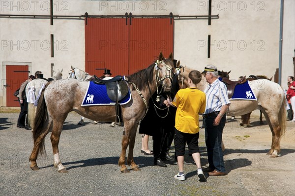 Every year at Easter there are about 5 processions in Lusatia, each with about 200 riders. The