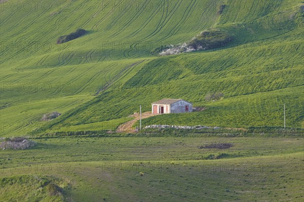 Green hills, fields, hut, Madonie National Park, spring, Sicily, Italy, Europe