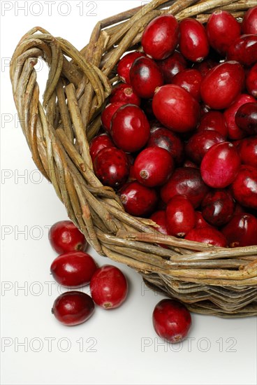 Cranberries (Vaccinium macrocarpon) , Cranberry, Basket, Basket