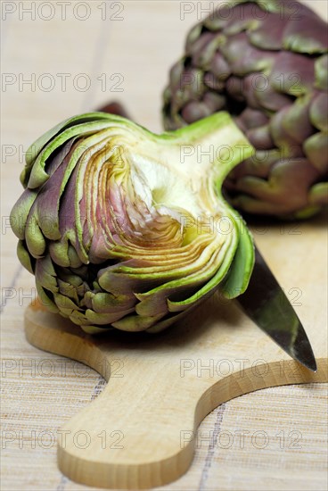 Artichoke (Cynara scolymus Cynara cardunculus) on cutting board with knife (Cynara scolymus, Cynara