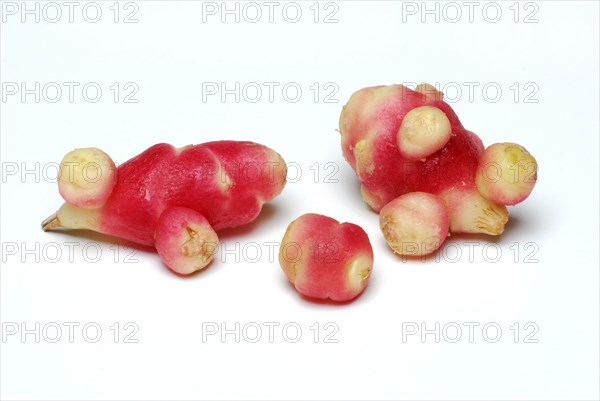 Oca, Oka, Yam, Oca (Oxalis tuberosa), Oca-Cola, Oca-Cola