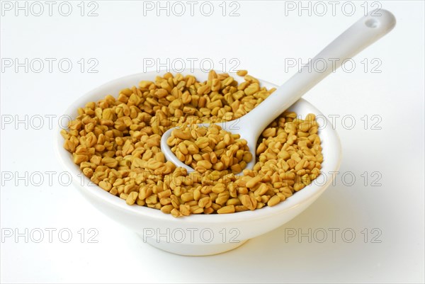 Fenugreek-Seeds (Trigonella foenum-graecum) in shell, fenugreek seeds, spoon
