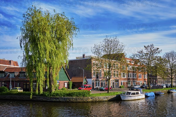 Boats and houses and canal. Harlem, Netherlands
