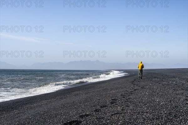 Tourist walking on a long black sand beach, Reynisfjara Beach, South Iceland, Iceland, Europe