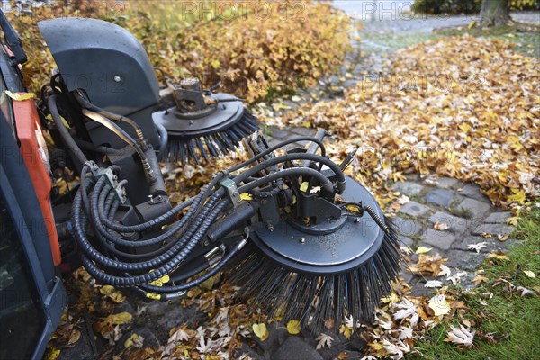 Sweeper sweeping wilted leaves in autumn, Vellmar, Hesse, Germany, Europe