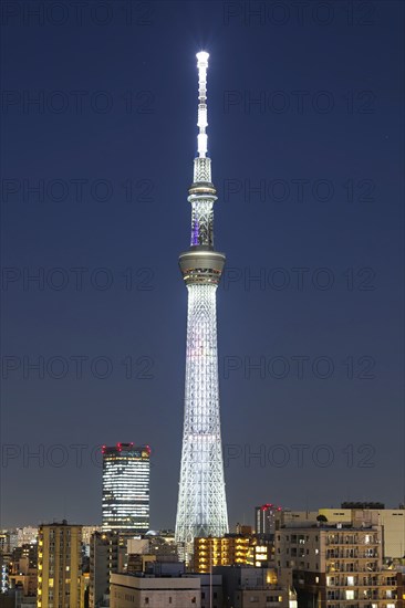 Tokyo SkyTree tower with the skyline skyscrapers at night in Tokyo, Japan, Asia