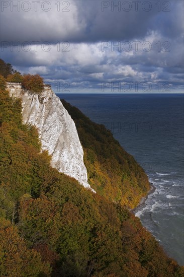 Chalk cliffs at the Königsstuhl, Königsstuhl, Jasmund National Park, Rügen Island,