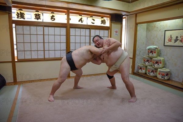 Sumo wrestler during training, Asakusa, Tokyo, Japan, Asia