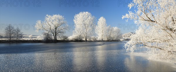Half-frozen small lake in winter, arm of the Saale, trees with snow and hoarfrost on the shore, ice