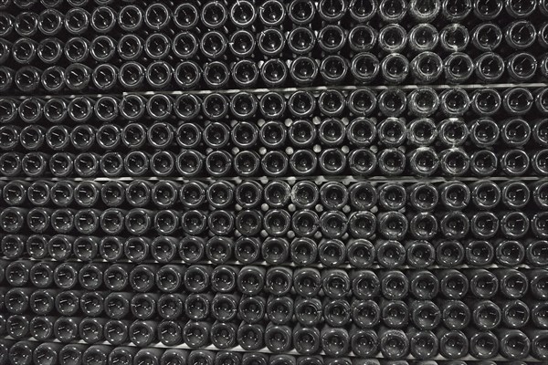 Sparkling wine is aged in bottles in a dark cellar background