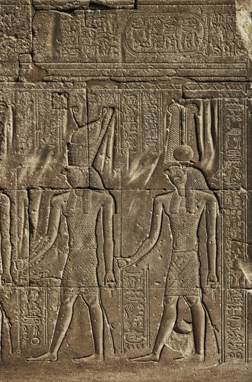Ancient egypt carving image of Horus god on wall of temple