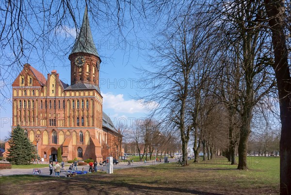 Cathedral in Kaliningrad, Cathedral of the Mother of God and Saint Adalbert, Brick Gothic,