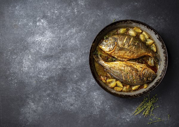 Baked sea bream or dorada with onion and herbs in pan on dark background