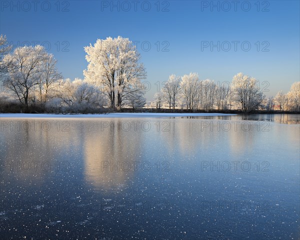 Half-frozen small lake in winter, arm of the Saale, trees with snow and hoarfrost on the shore, ice