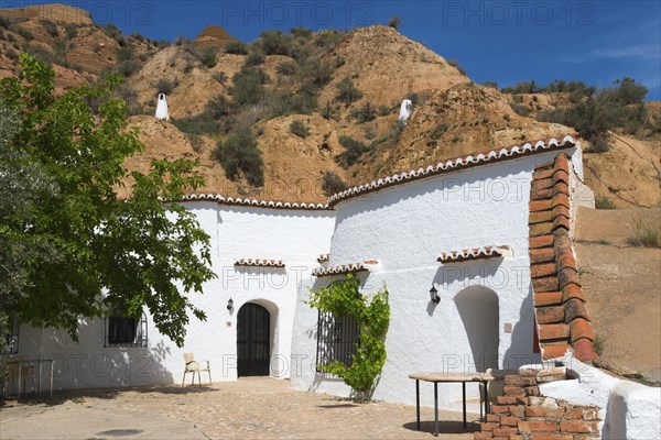 White building with rock wall, tree, and rustic outdoor furniture under a sunny blue sky, cave