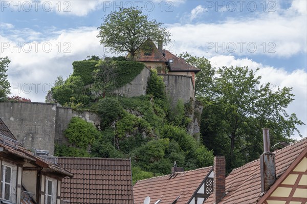 View of Betzenstein Castle, a hilltop castle from the High Middle Ages, Betzenstein, Upper