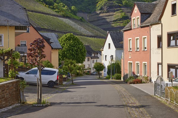 Brunnenstrasse with houses and vineyards in Bremm, Cochem-Zell district, Rhineland-Palatinate,
