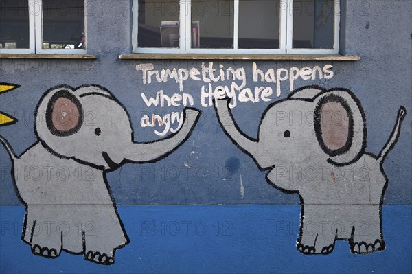Mural painting at Gariseb Primary School, boarding school for 350 children, elephants, Anixab, Ugab